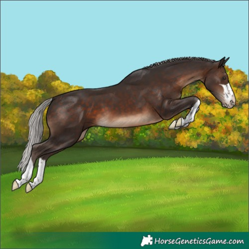 Horse Color:Silver Brown 