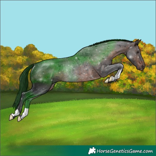 Horse Color:Brown Rabicano 