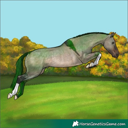 Horse Color:Brown Dun Rabicano 