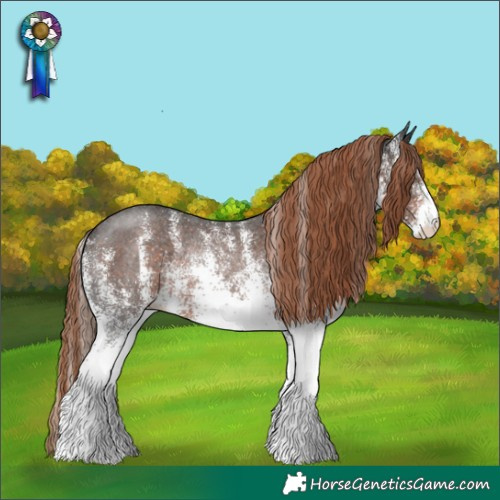 Horse Color:White Spotted Liver Chestnut Rabicano