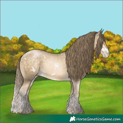 Horse Color:White Spotted Buckskin Pearl Rabicano