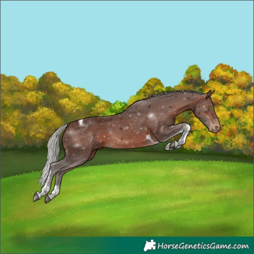 Horse Color:Silver Brown Tobiano Varnish 