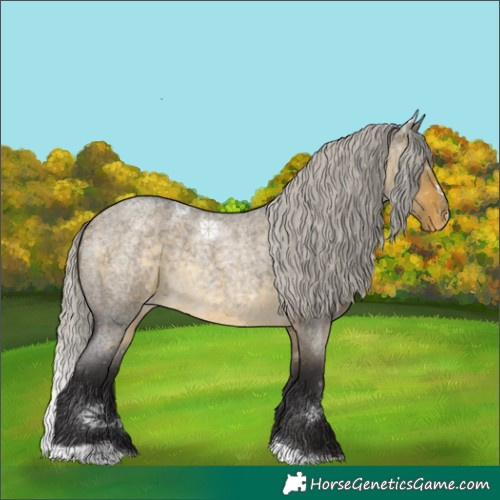 Horse Color:Silver Buckskin Roan Dun Tobiano Appaloosa Rabicano