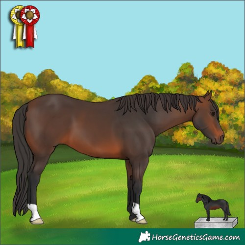Horse Color:Brown 