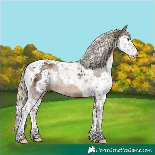 Horse Color:Liver Chestnut Splash Tobiano Rabicano 