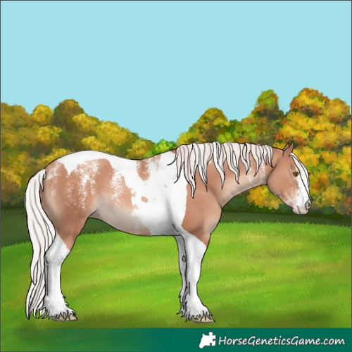 Horse Color:Powder White Silver Classic Champagne Tobiano 