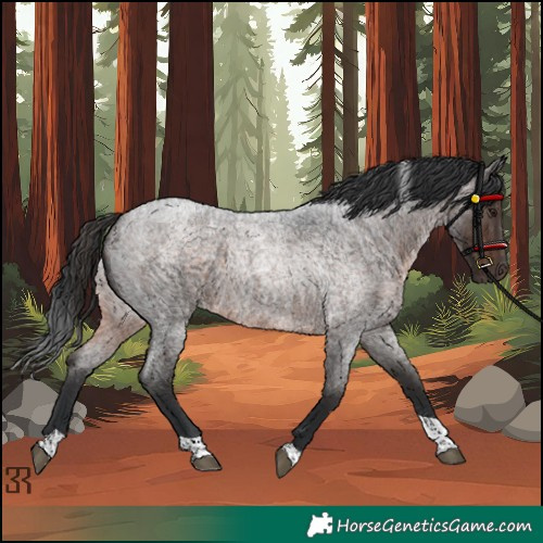 Horse Color:Brown Roan Tobiano Rabicano 