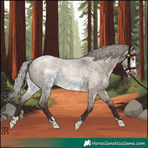 Horse Color:Silver Brown Roan Dun Frame