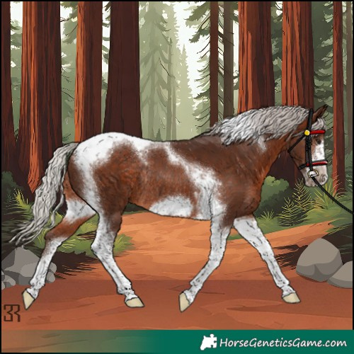 Horse Color:Silver Brown Tobiano Frame Rabicano