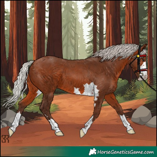 Horse Color:Silver Brown 