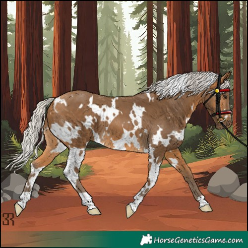 Horse Color:White Spotted Silver Buckskin 