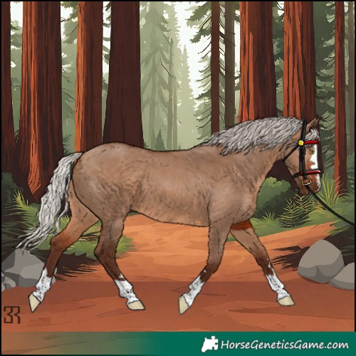Horse Color:Unknown 