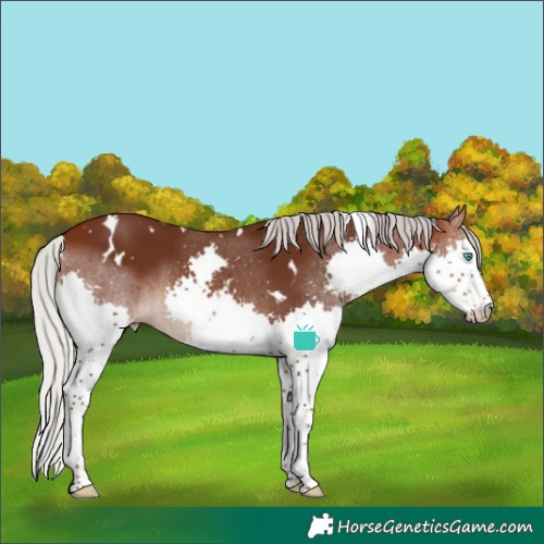Horse Color:White Spotted Silver Brown Splash