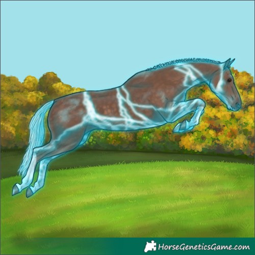 Horse Color:Thunderstruck Silver Black Tobiano