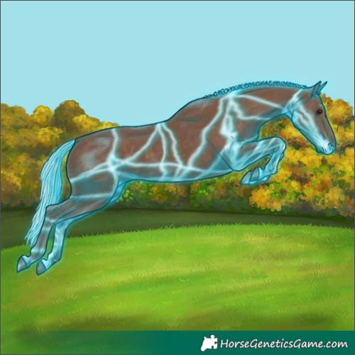 Horse Color:Thunderstruck Silver Black
