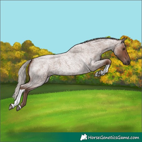 Horse Color:Silver Blue Roan Tobiano