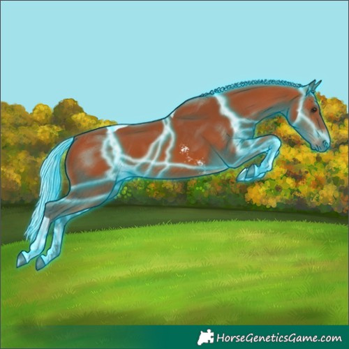 Horse Color:Thunderstruck Silver Bay Sabino Tobiano 