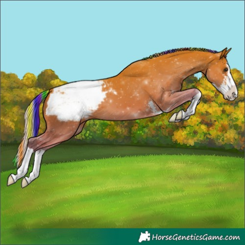 Horse Color:Painted Silver Bay Sabino Splash Appaloosa 