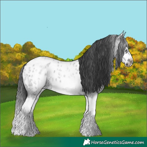 Horse Color:White Spotted Blue Roan Splash Frame Blanket