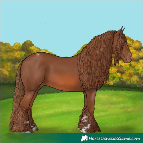 Horse Color:Chestnut Varnish 
