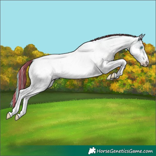 Horse Color:Painted Bay Roan Snowdrop Pearl Dun Splash Tobiano Blanket