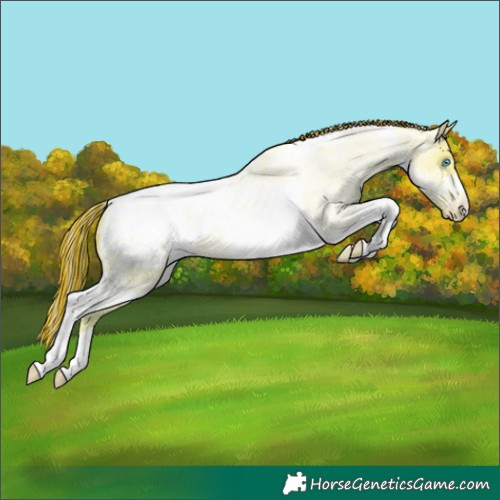 Horse Color:Painted Amber Champagne Roan Snowdrop Pearl Dun Tobiano Blanket Rabicano