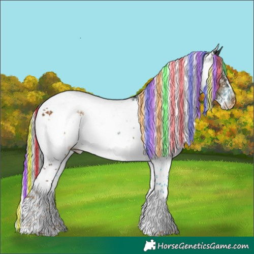 Horse Color:Painted White Spotted Chocolate Palomino Blanket 