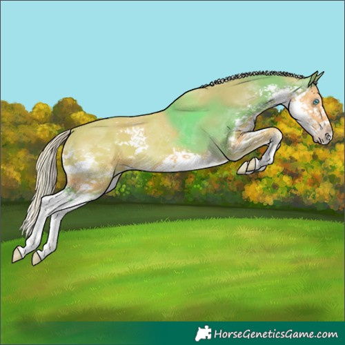 Horse Color:Palomino Splash 