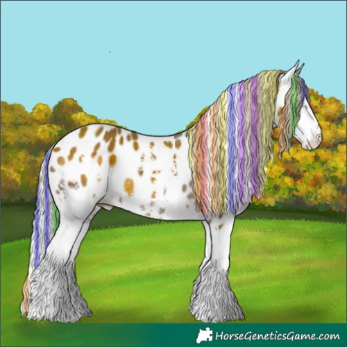 Horse Color:Painted Silver Black Splash Leopard