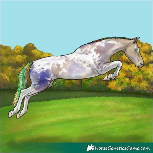 Horse Color:Painted White Spotted Silver Smoky Black Pearl Tobiano 