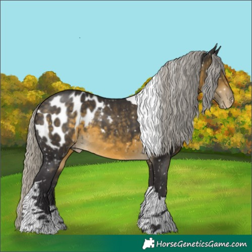 Horse Color:Silver Buckskin Tobiano Blanket 