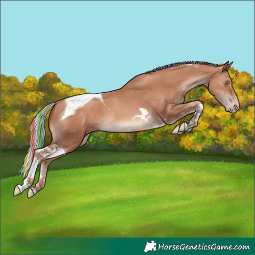 Horse Color:Painted Silver Classic Champagne Tobiano 