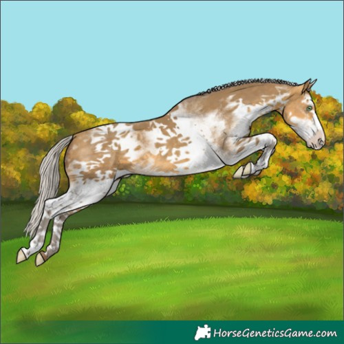 Horse Color:White Spotted Silver Sable Cream Champagne