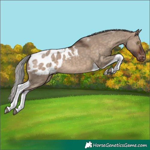 Horse Color:Silver Brown Dun Tobiano Blanket Rabicano