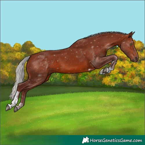 Horse Color:Chocolate Silver Brown Tobiano Rabicano 
