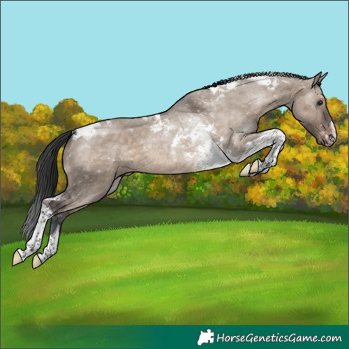 Horse Color:Brown Dun Tobiano Varnish