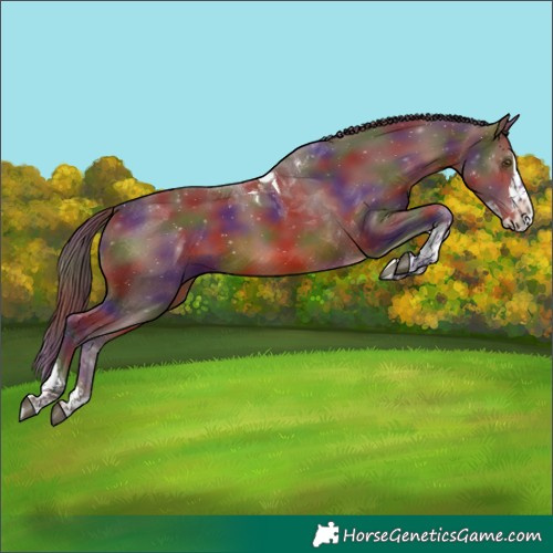 Horse Color:Nacre Chocolate Brown Splash Tobiano