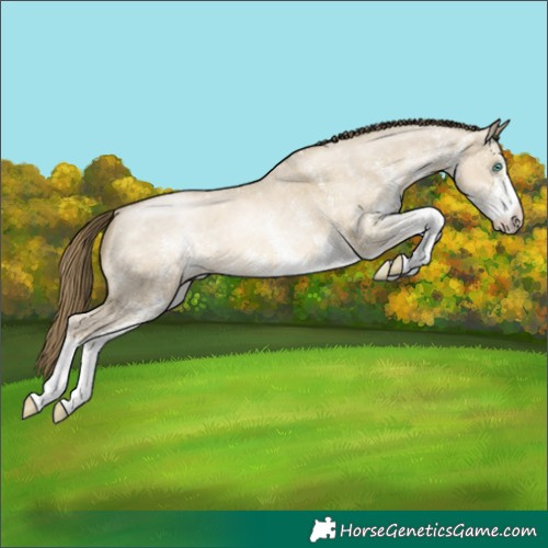 Horse Color:White Spotted Smoky Grullo Pearl