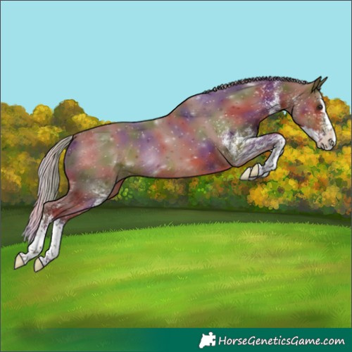 Horse Color:Nacre White Spotted Chocolate Silver Brown Splash Rabicano