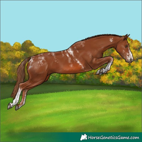 Horse Color:Powder White Chestnut 