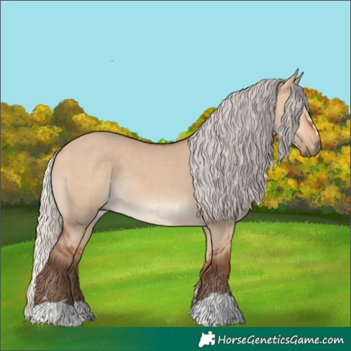 Horse Color:Silver Bay Dun