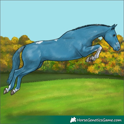Horse Color:Watercolor Black Tobiano Skewed Appaloosa