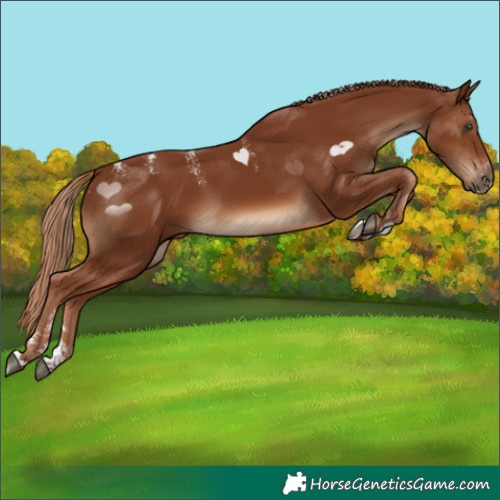 Horse Color:Powder White Chestnut 