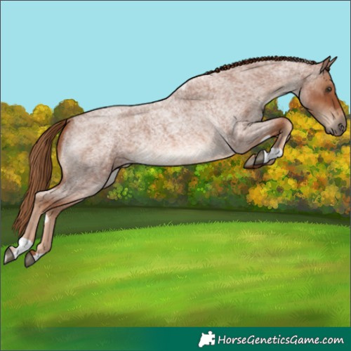 Horse Color:Red Roan