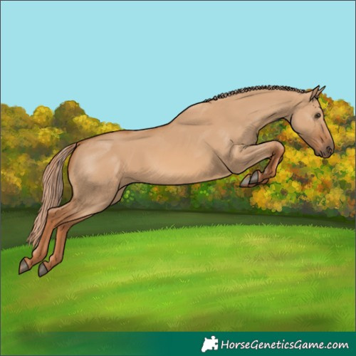 Horse Color:Red Dun