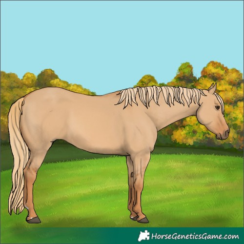 Horse Color:Red Dun