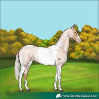 Horse Color:Silver Blue Roan Pearl Tobiano Frame 
