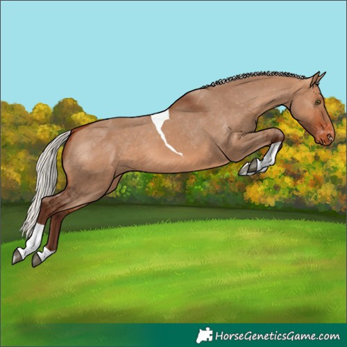 Horse Color:Silver Bay Dun Tobiano Varnish Rabicano