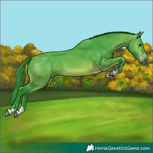 Horse Color:Watercolor Brown Tobiano