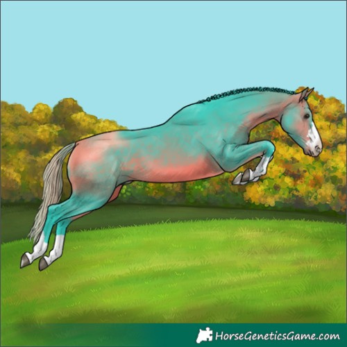 Horse Color:Watercolor Bay